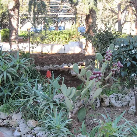 Bed & Breakfast Santos 3*