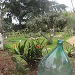 Bed & Breakfast Santos 3*